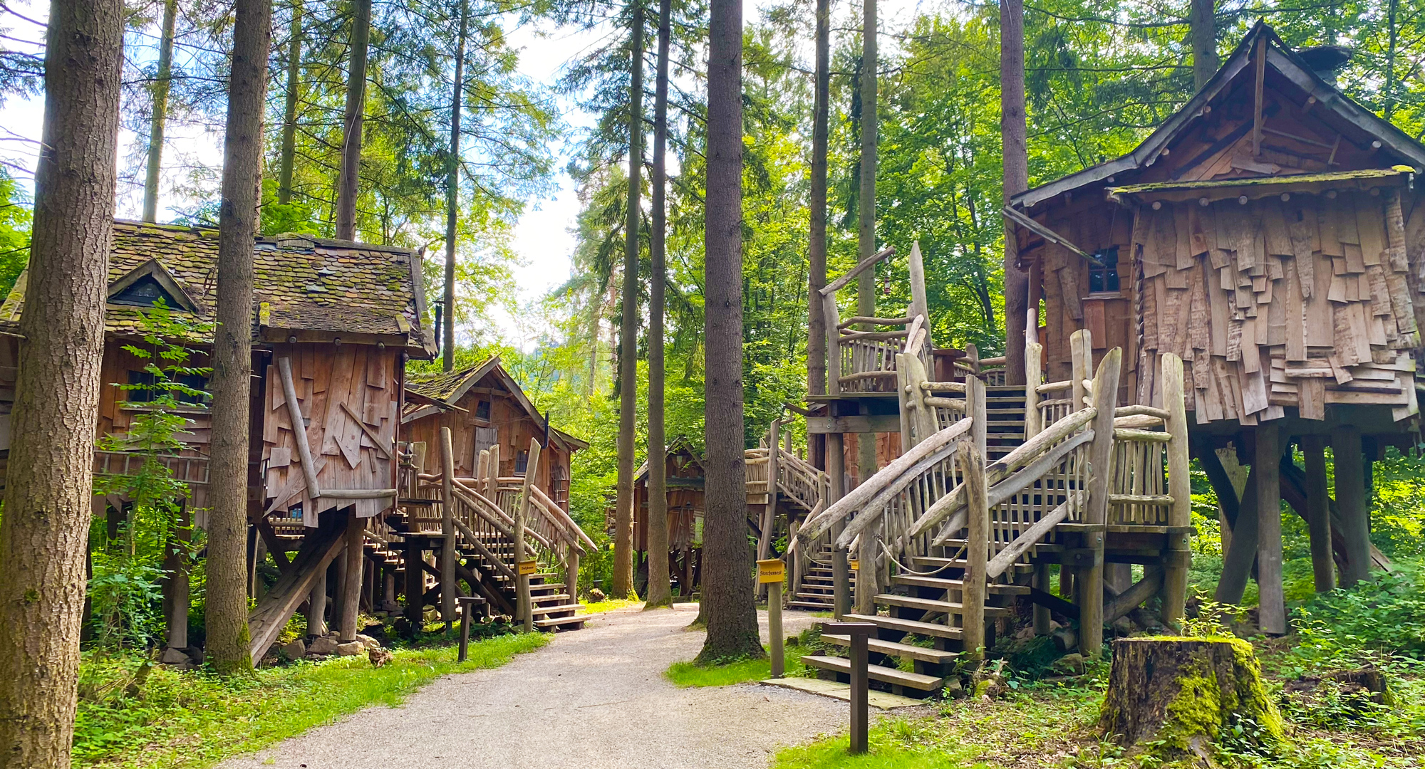 Natur-Resort_Baumhaeuser_gruen Erlebnispark