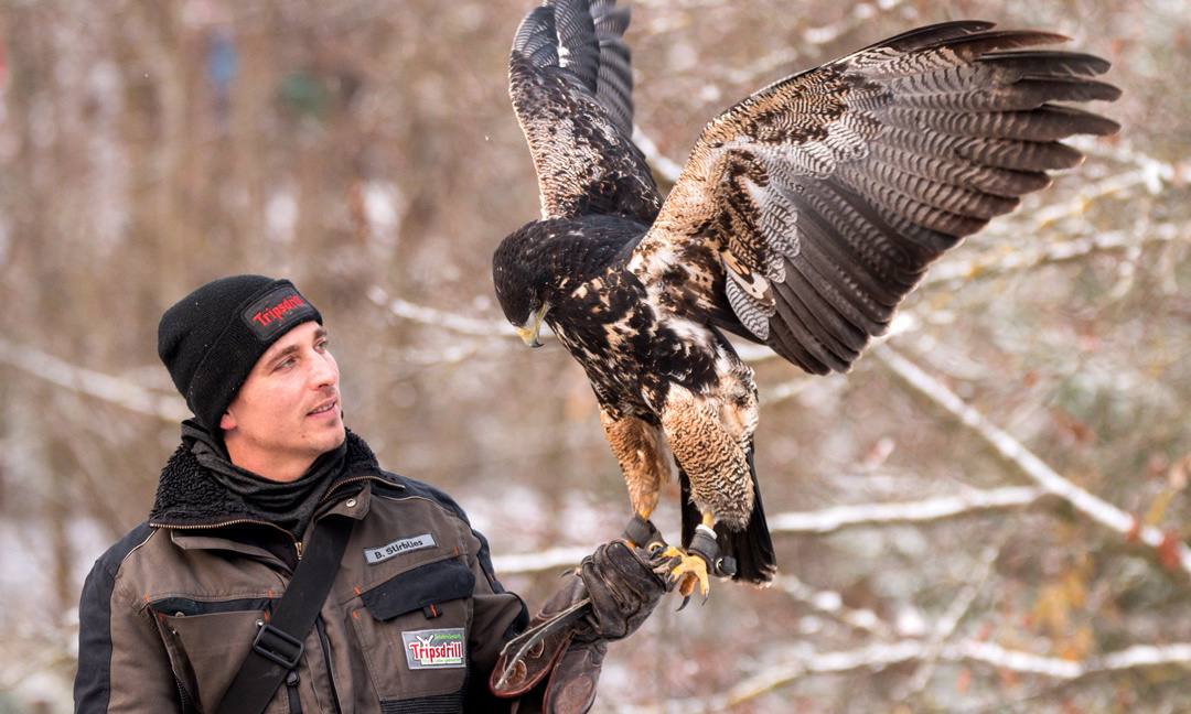 Tierisches Erlebnis & außergewöhnliche Übernachtungen