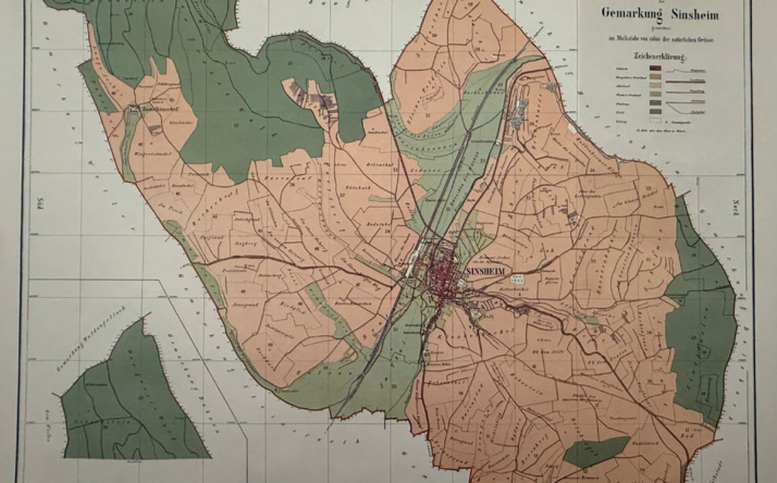 Sinsheim: Vierzehn historische Karten von