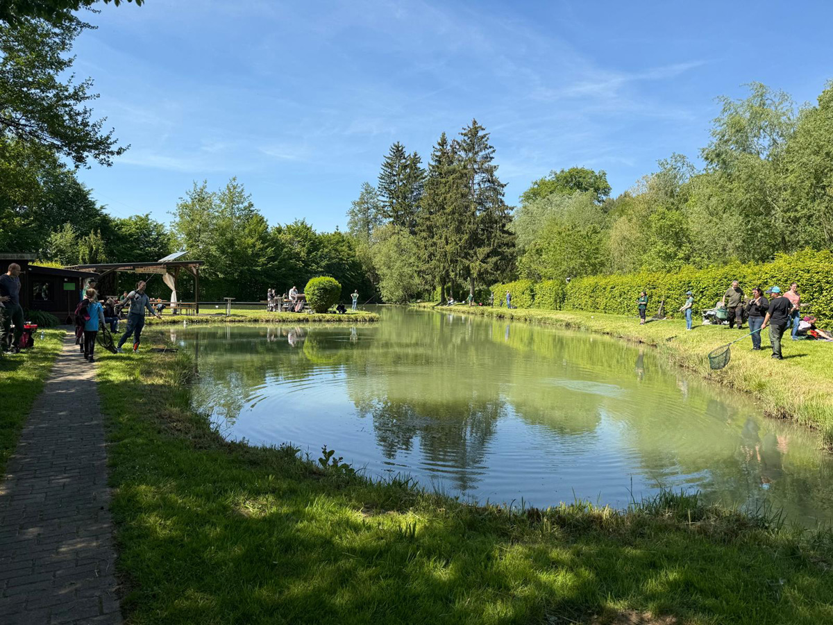 Vereinsteich Helmstadt-Bargen2025 Helmstadt