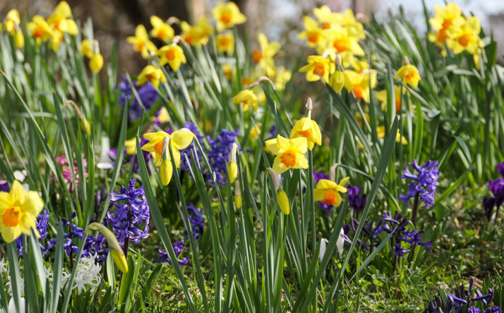 Osterzeit im Zoo Heidelberg