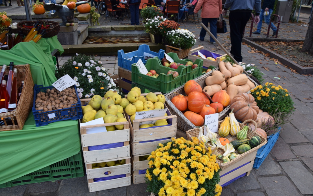 29. Sinsheimer Herbst am 11. Oktober