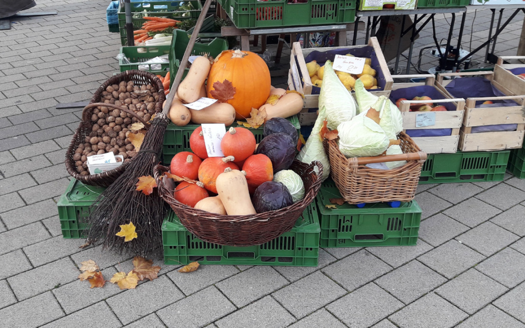 Herbstgenüsse
