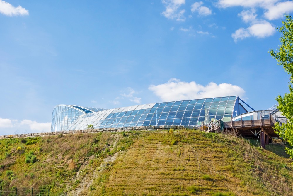 Entspannung in der Therme und Badewelt in Sinsheim